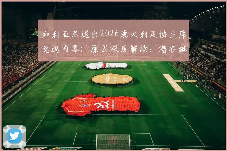 加利亚尼退出2026意大利足协主席竞选内幕：原因深度解读，潜在继任者分析与未来足坛格局影响